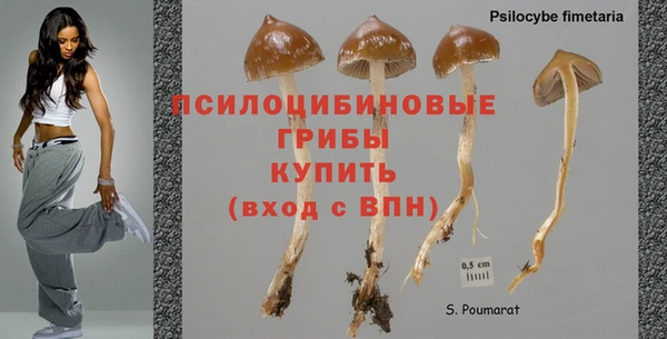 mdma Медвежьегорск
