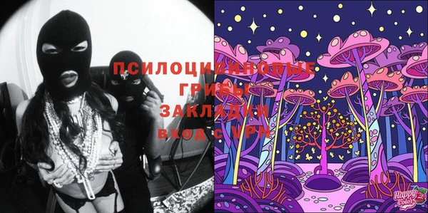 прущие грибы Медногорск