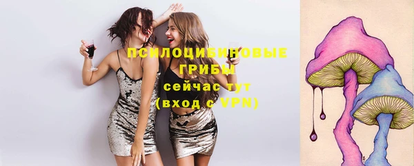 mdma Медвежьегорск