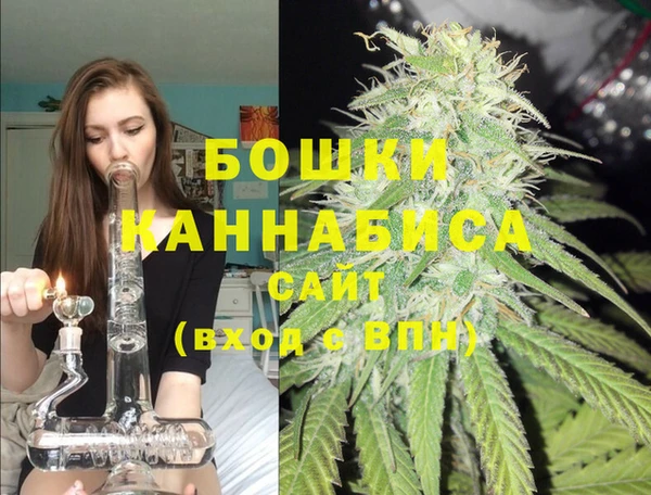 прущие грибы Медногорск